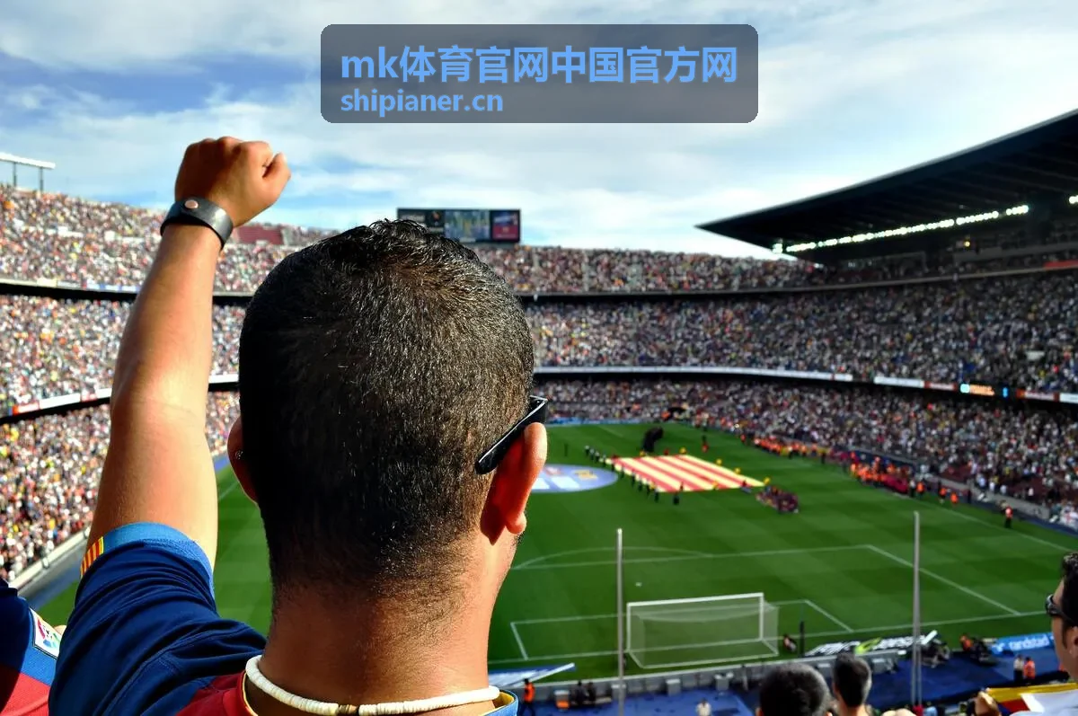 mk体育官网中国官方网平台功能与操作栏目配图